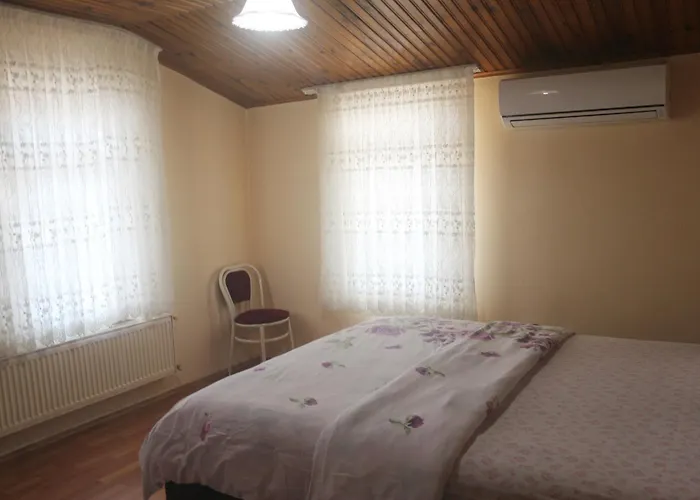 Apartman Guler Central *