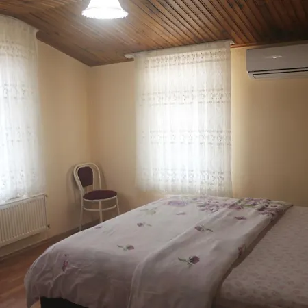 Apartment Gueler Central *