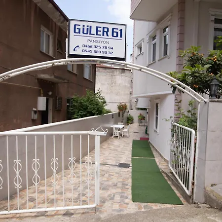 Gueler 61 *